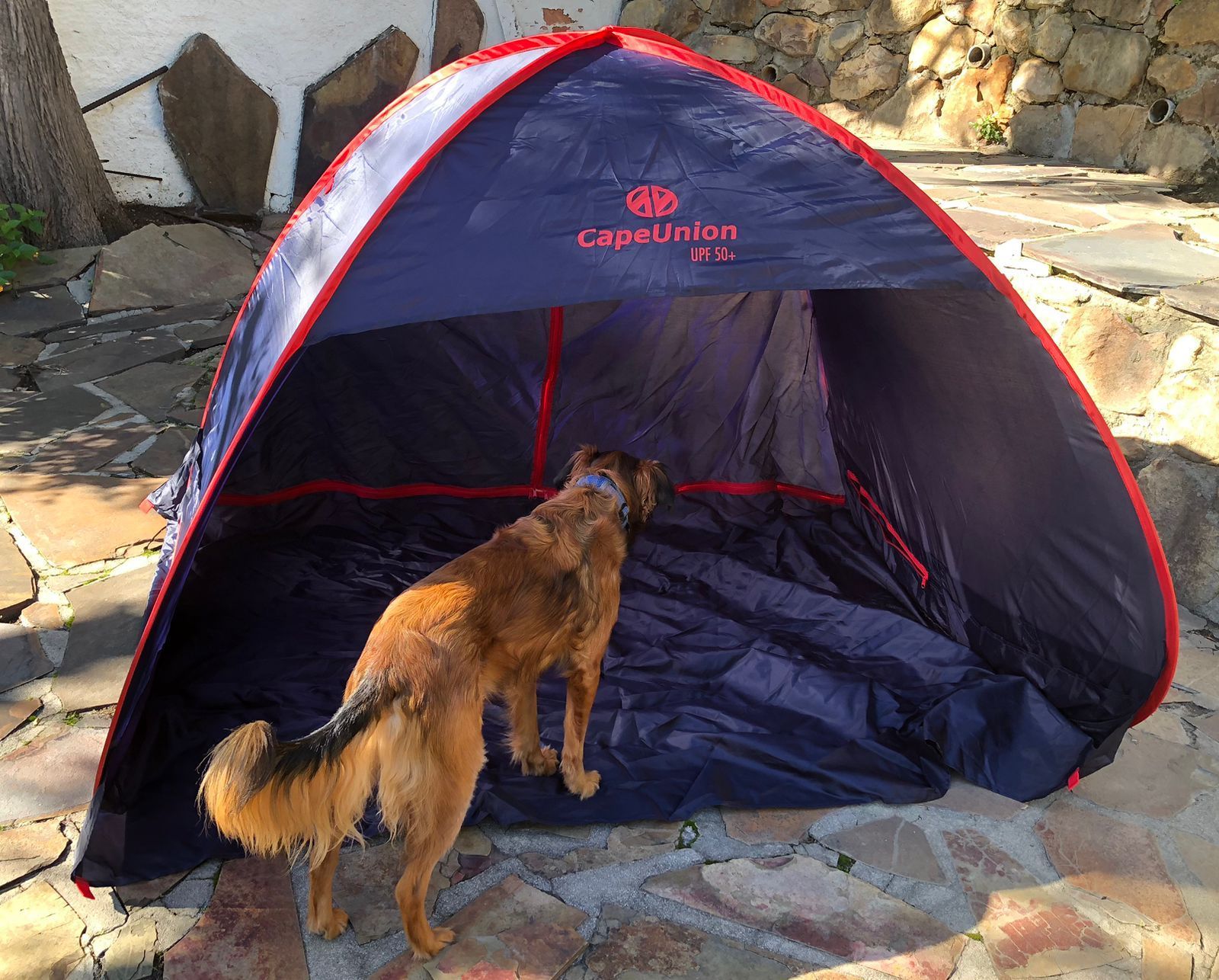 Cape union mart tents best sale