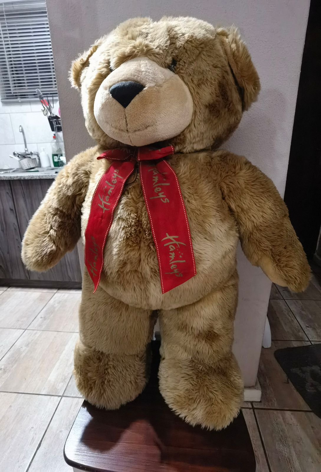 Hamleys hot sale giant bear