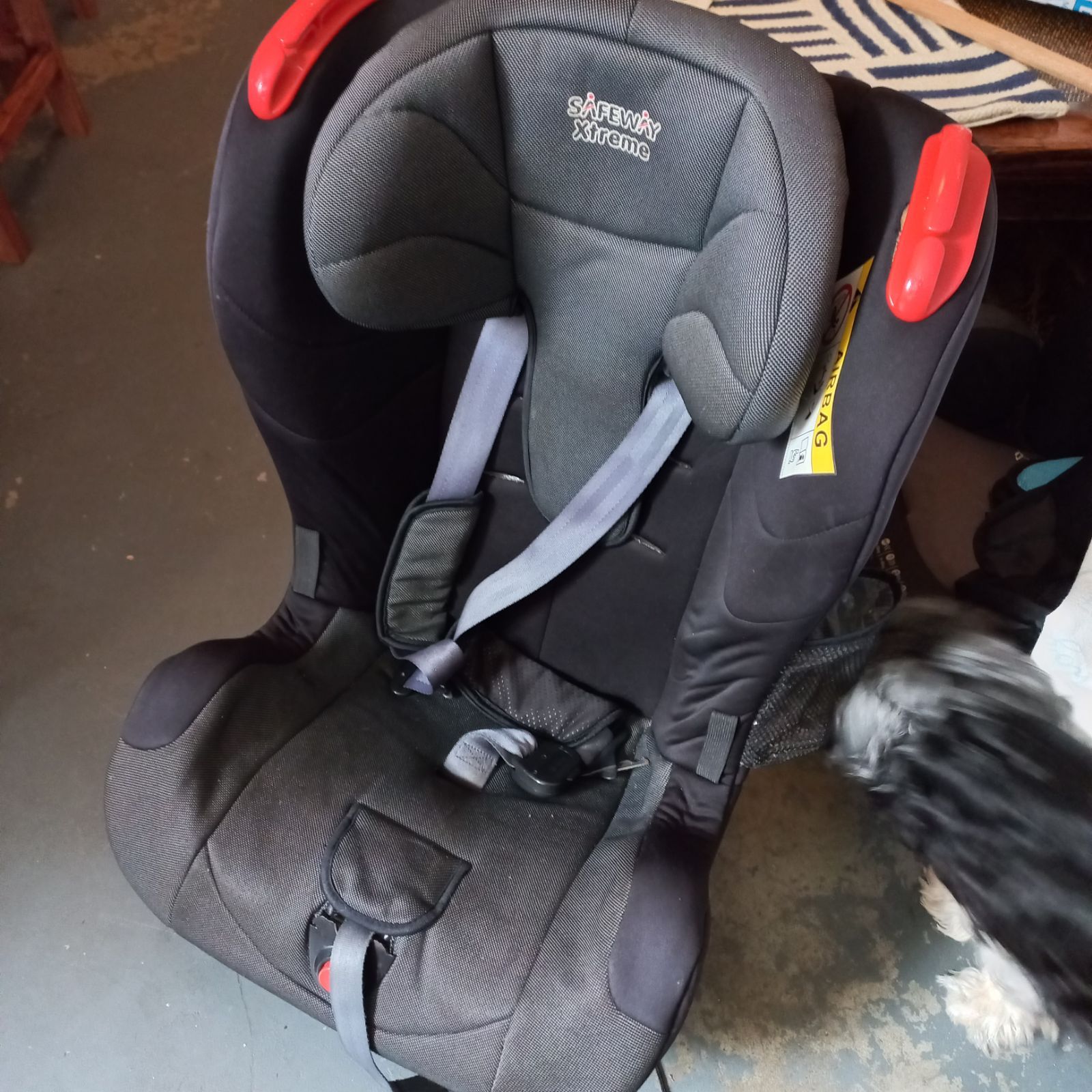 Safeway extreme 2025 car seat price