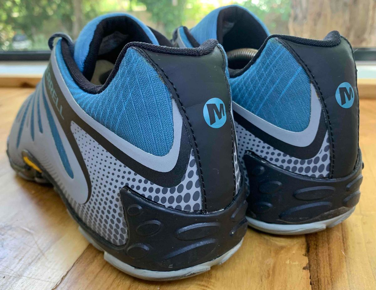 Chameleon 2025 ii flux