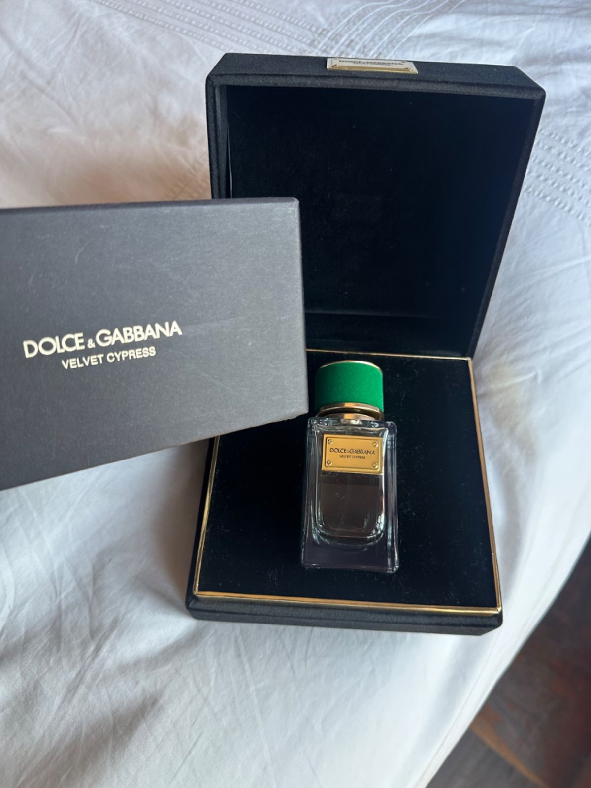 Dolce and gabbana outlet velvet cypress